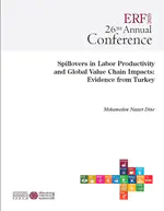 Spillovers in Labor Productivity and Global Value Chain Impacts:Evidence from Turkey