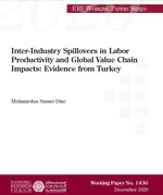 Inter-Industry Spillovers in Labor Productivity and Global Value Chain Impacts: Evidence from Turkey